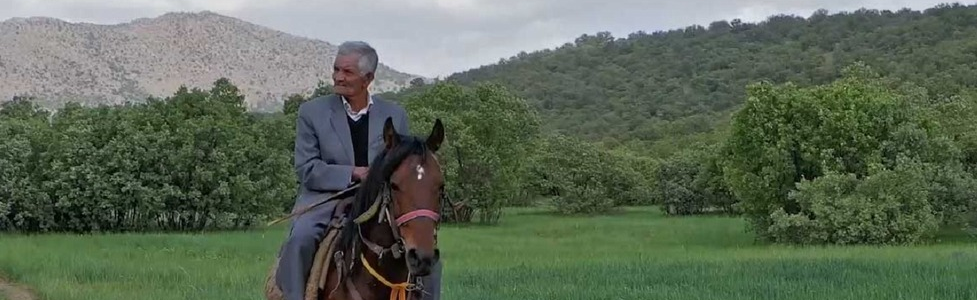  کوهستان بی صدا